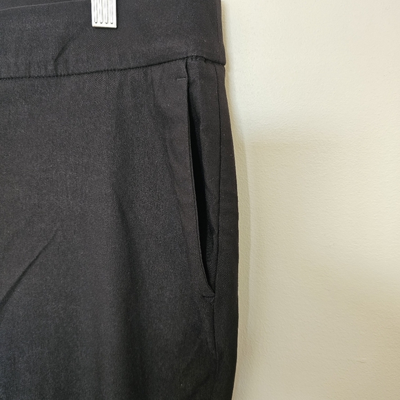 Elevate Your Style with These Hilary Radley Pull-On Pants! Size Large. New - Picture 4 of 11
